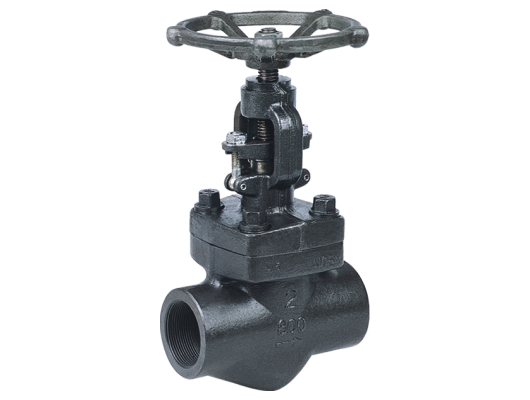 Forged steel globe valves